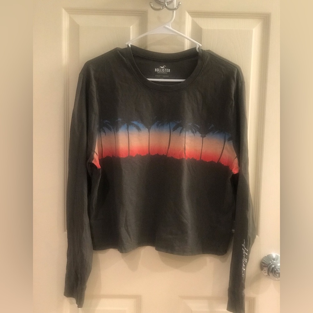 Hollister Long sleeve crop T Palm trees